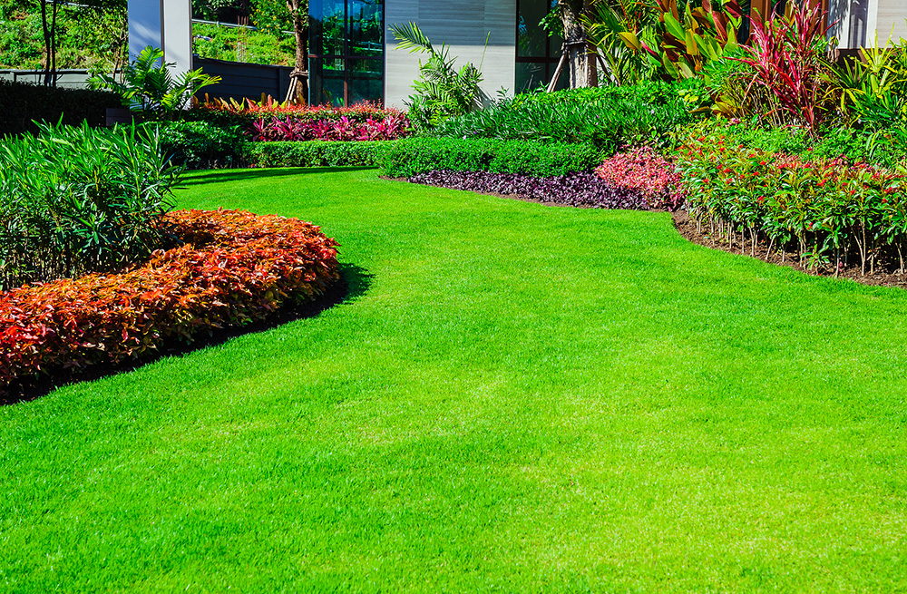 luxury custom landscape
